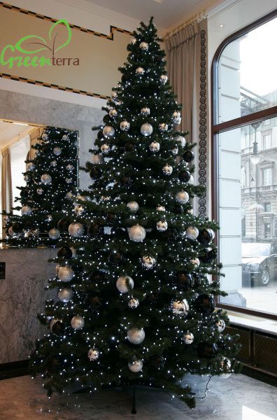 Ель интерьерная "Эксклюзив Слим" Ель интерьерная "Эксклюзив Слим"